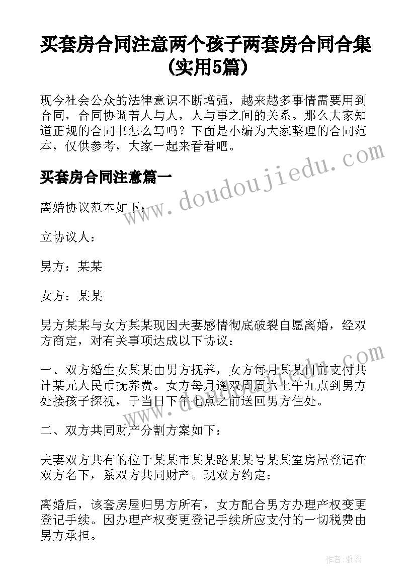 买套房合同注意 两个孩子两套房合同合集(实用5篇)