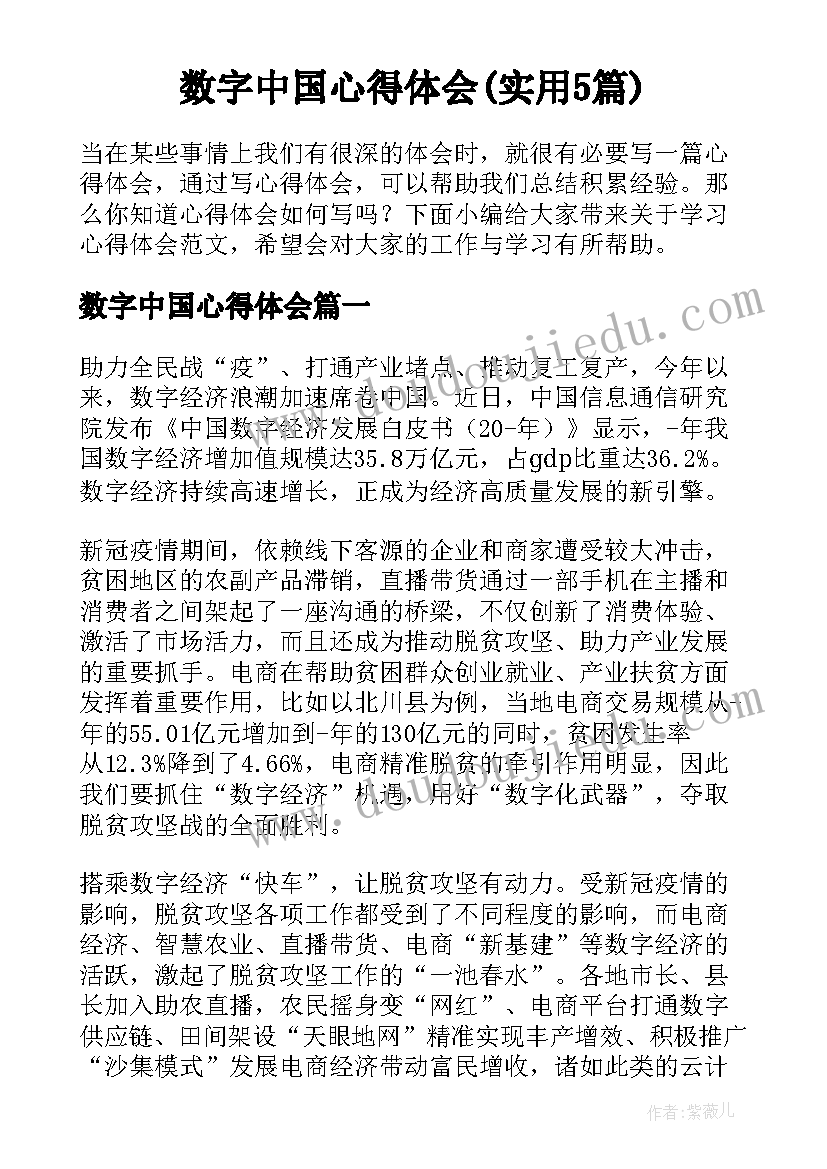 数字中国心得体会(实用5篇)