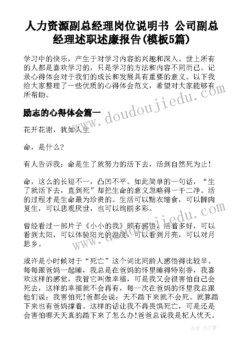 人力资源副总经理岗位说明书 公司副总经理述职述廉报告(模板5篇)