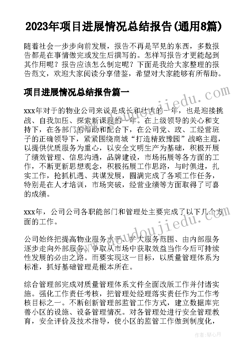 2023年项目进展情况总结报告(通用8篇)