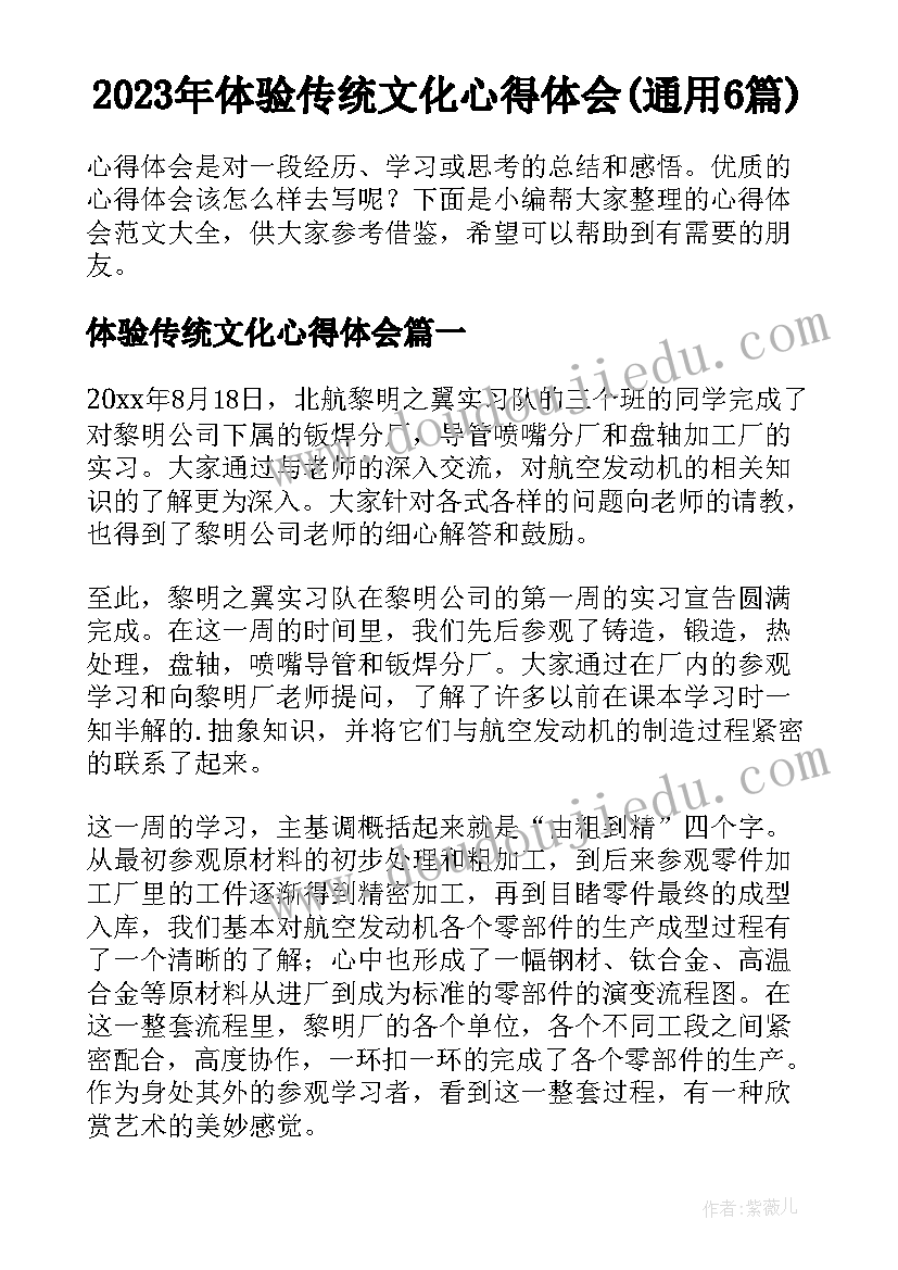 2023年体验传统文化心得体会(通用6篇)