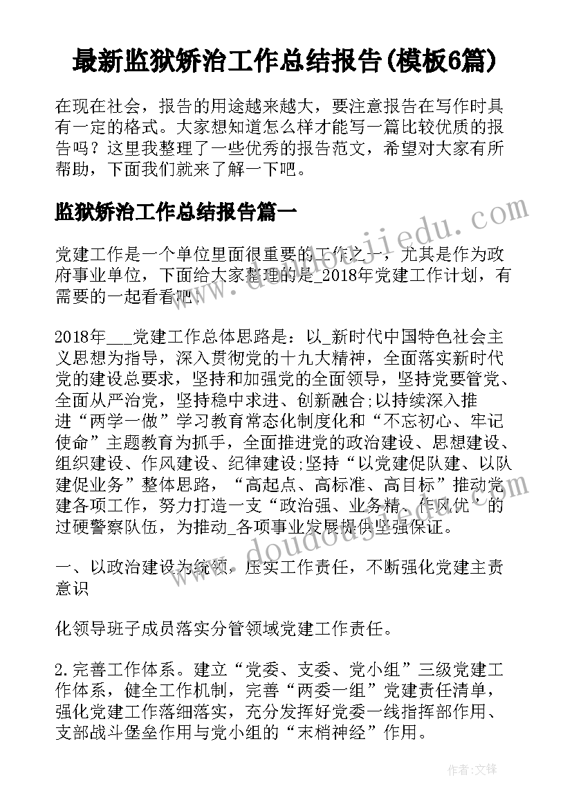 最新监狱矫治工作总结报告(模板6篇)