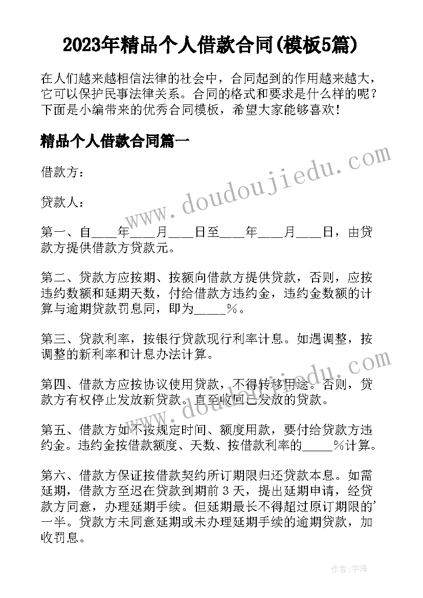 2023年精品个人借款合同(模板5篇)