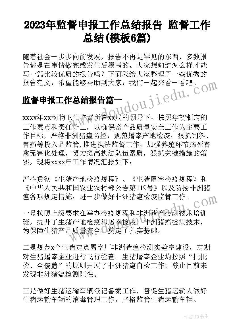 2023年监督申报工作总结报告 监督工作总结(模板6篇)