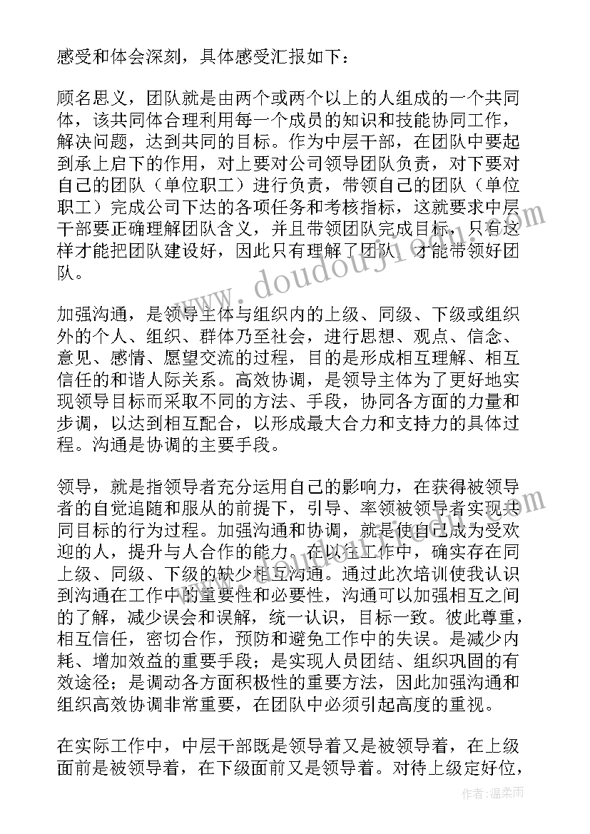 2023年团队建设心得体会感悟(大全10篇)