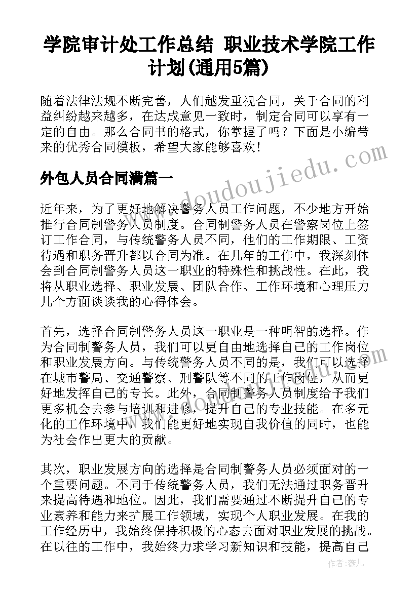 学院审计处工作总结 职业技术学院工作计划(通用5篇)