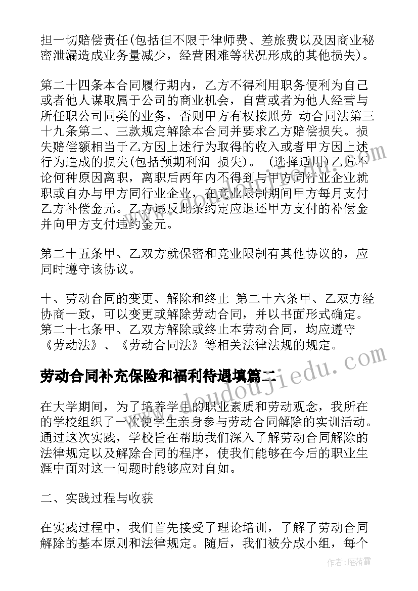 劳动合同补充保险和福利待遇填(精选6篇)