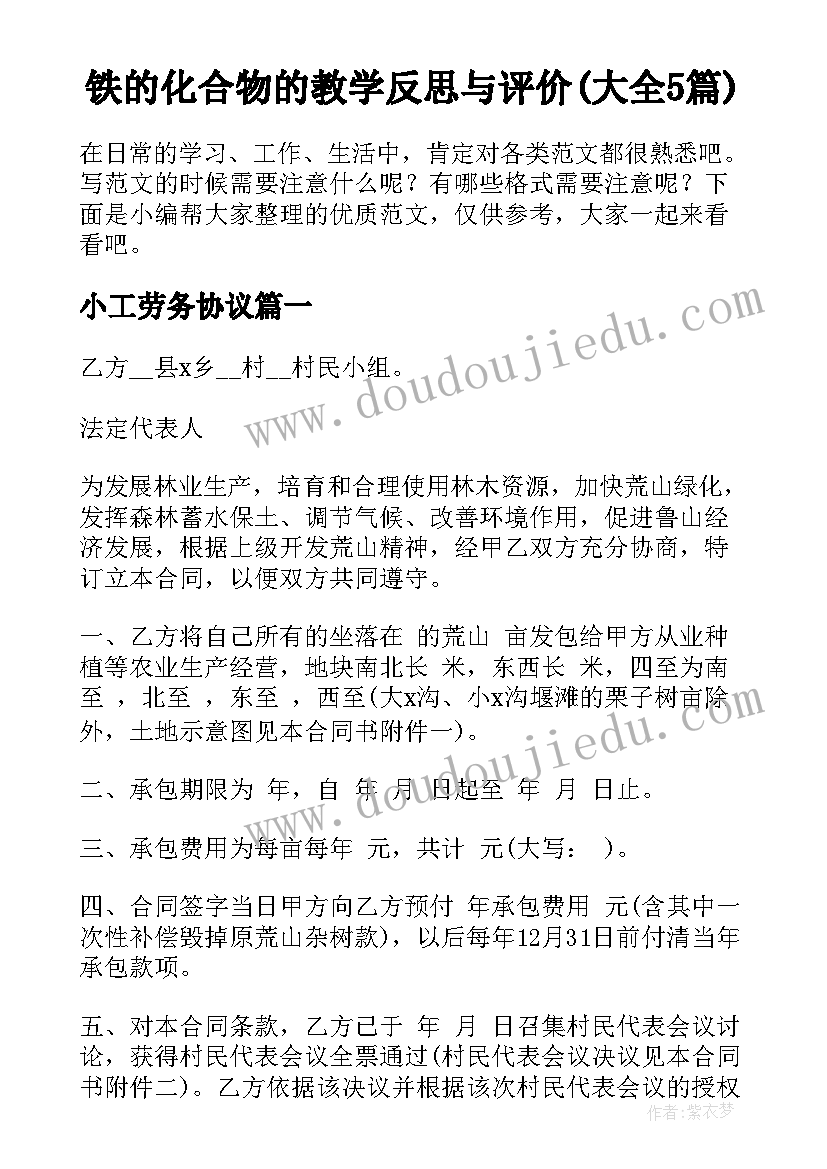 铁的化合物的教学反思与评价(大全5篇)