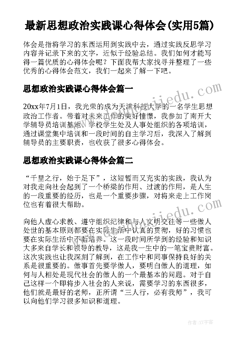 最新思想政治实践课心得体会(实用5篇)