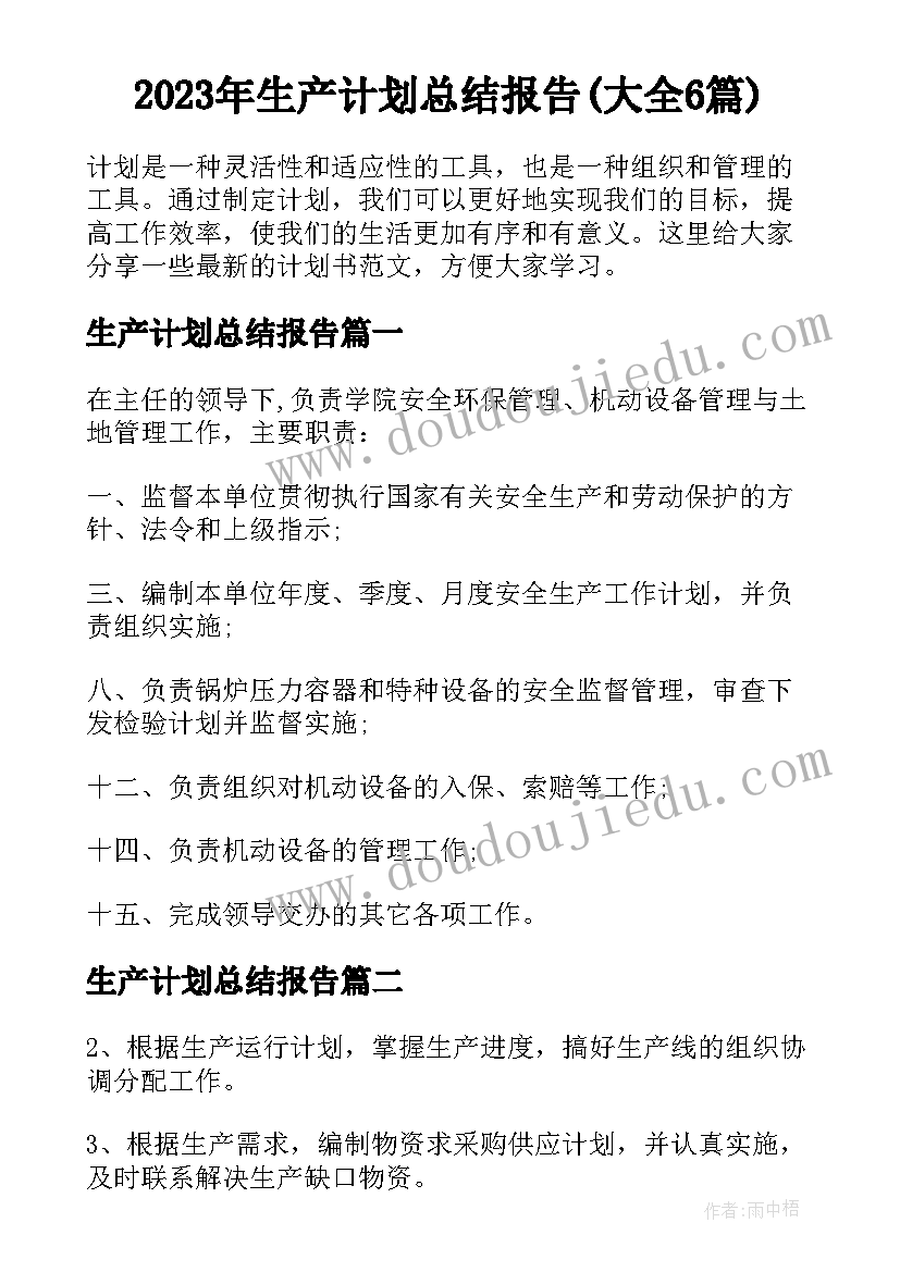 2023年生产计划总结报告(大全6篇)