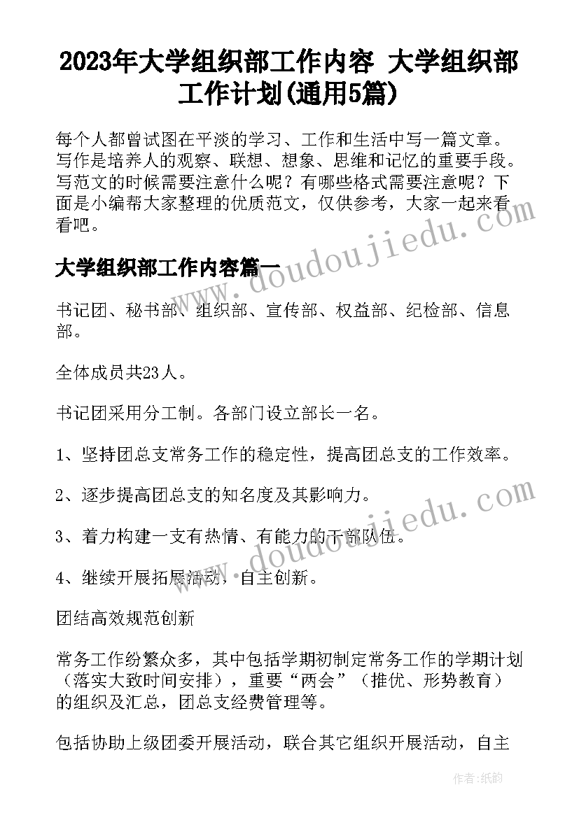 2023年大学组织部工作内容 大学组织部工作计划(通用5篇)