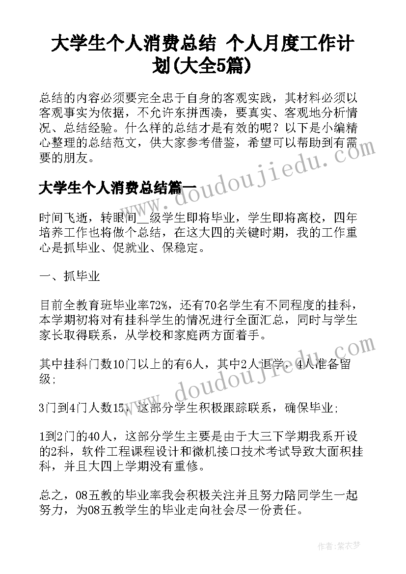 大学生个人消费总结 个人月度工作计划(大全5篇)