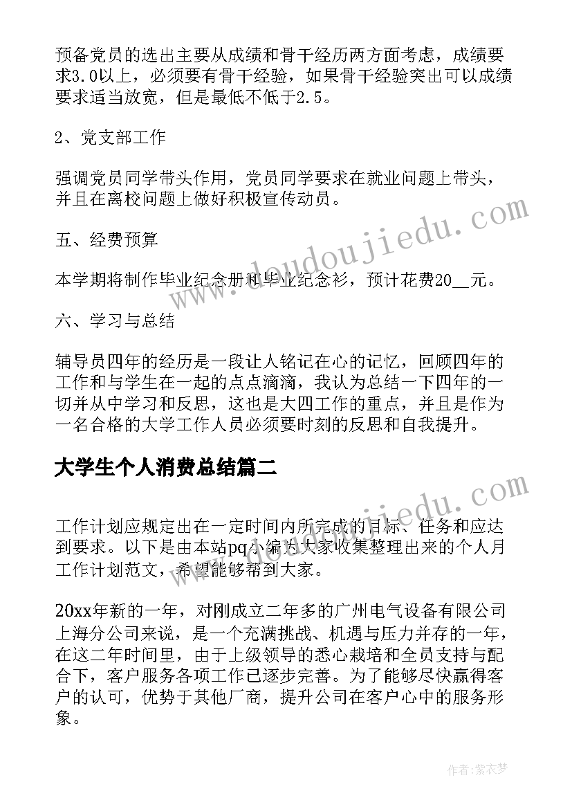 大学生个人消费总结 个人月度工作计划(大全5篇)