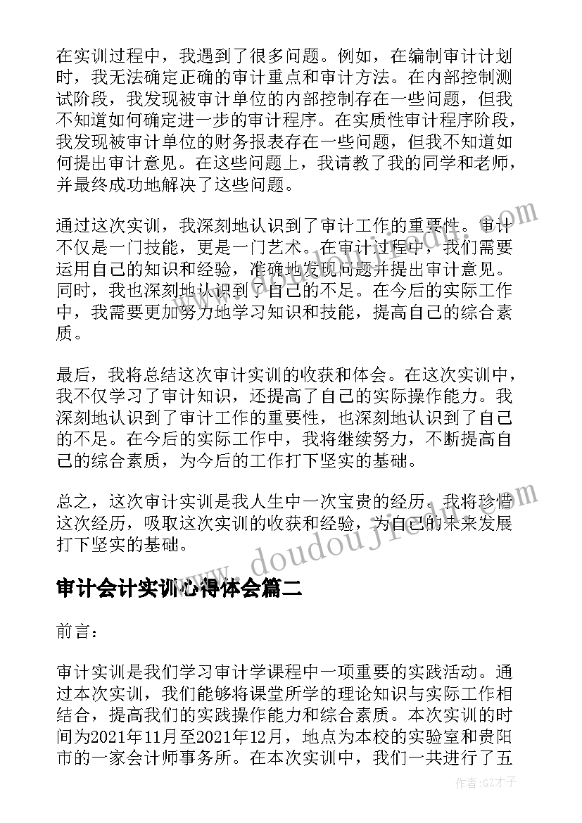 最新审计会计实训心得体会(优质5篇)