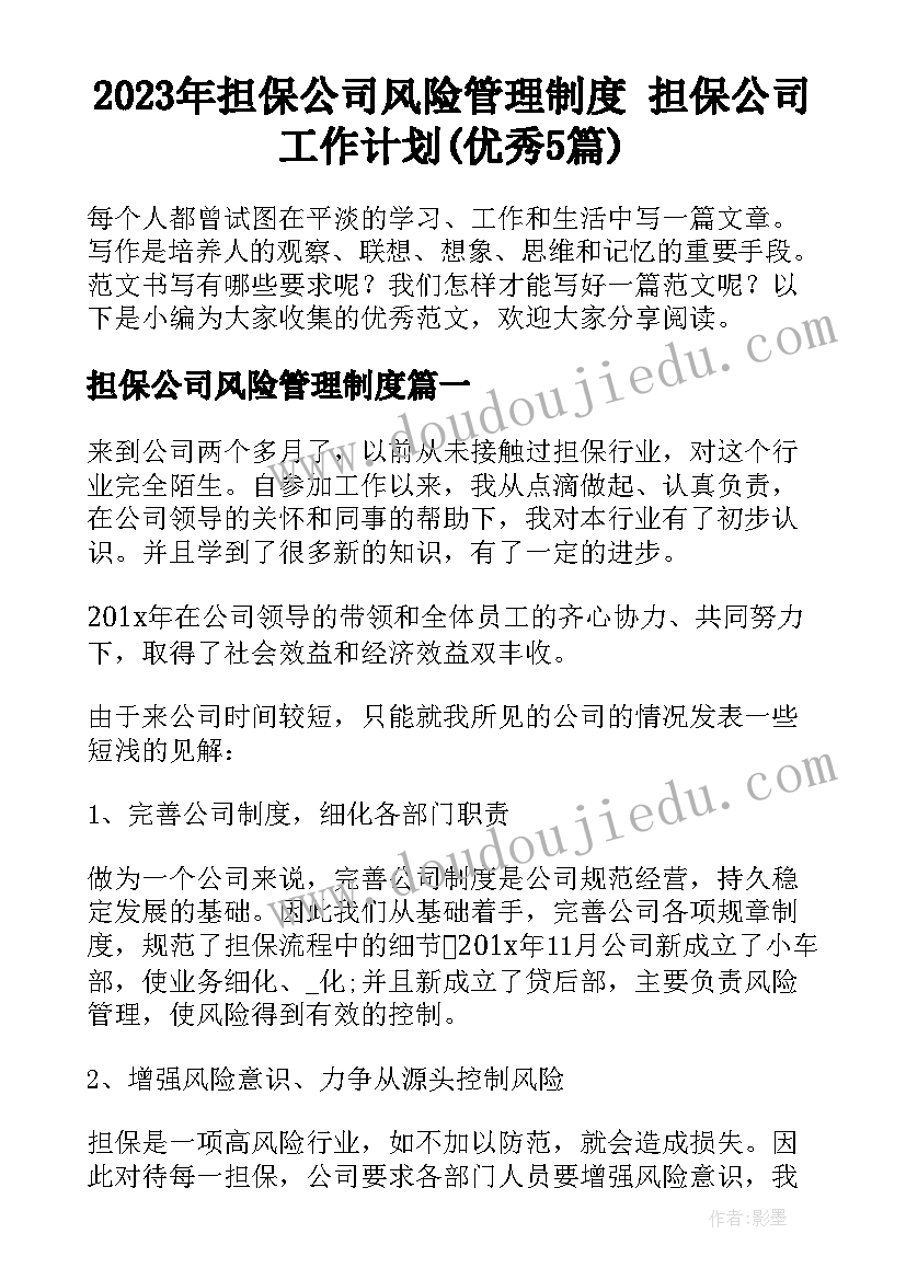 2023年担保公司风险管理制度 担保公司工作计划(优秀5篇)