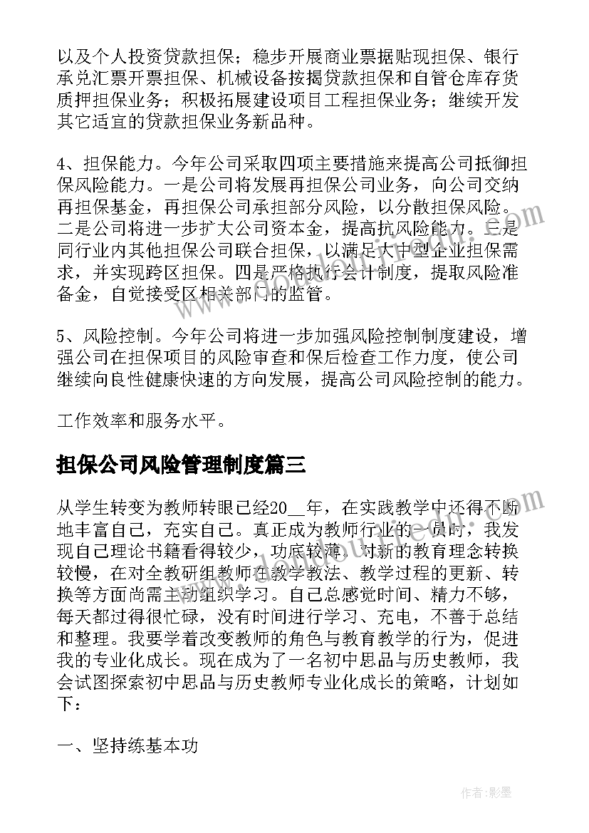 2023年担保公司风险管理制度 担保公司工作计划(优秀5篇)