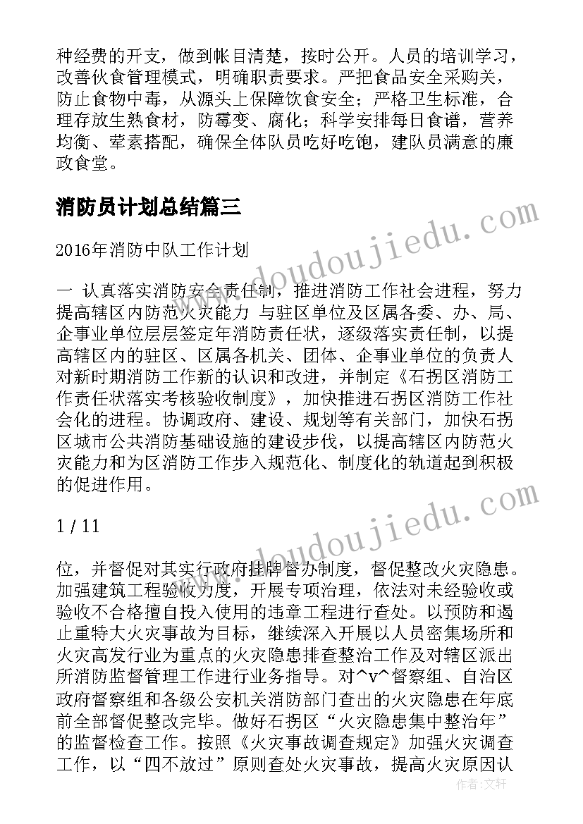 最新消防员计划总结(大全5篇)