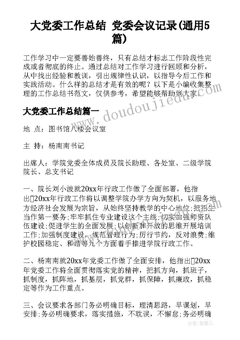 大党委工作总结 党委会议记录(通用5篇)