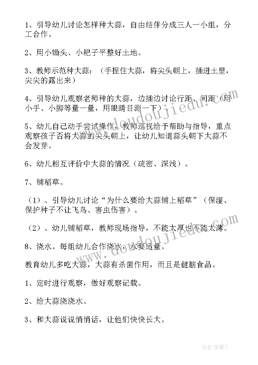 2023年大班棋区区域活动方案 大班区域活动方案(精选5篇)