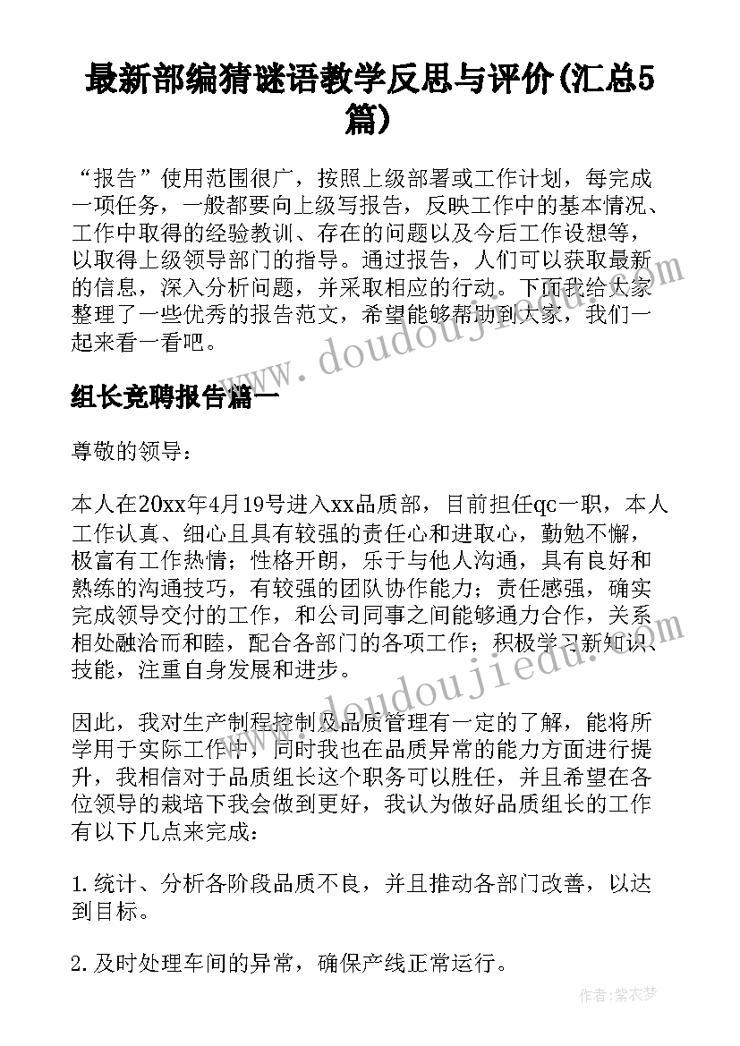 最新部编猜谜语教学反思与评价(汇总5篇)