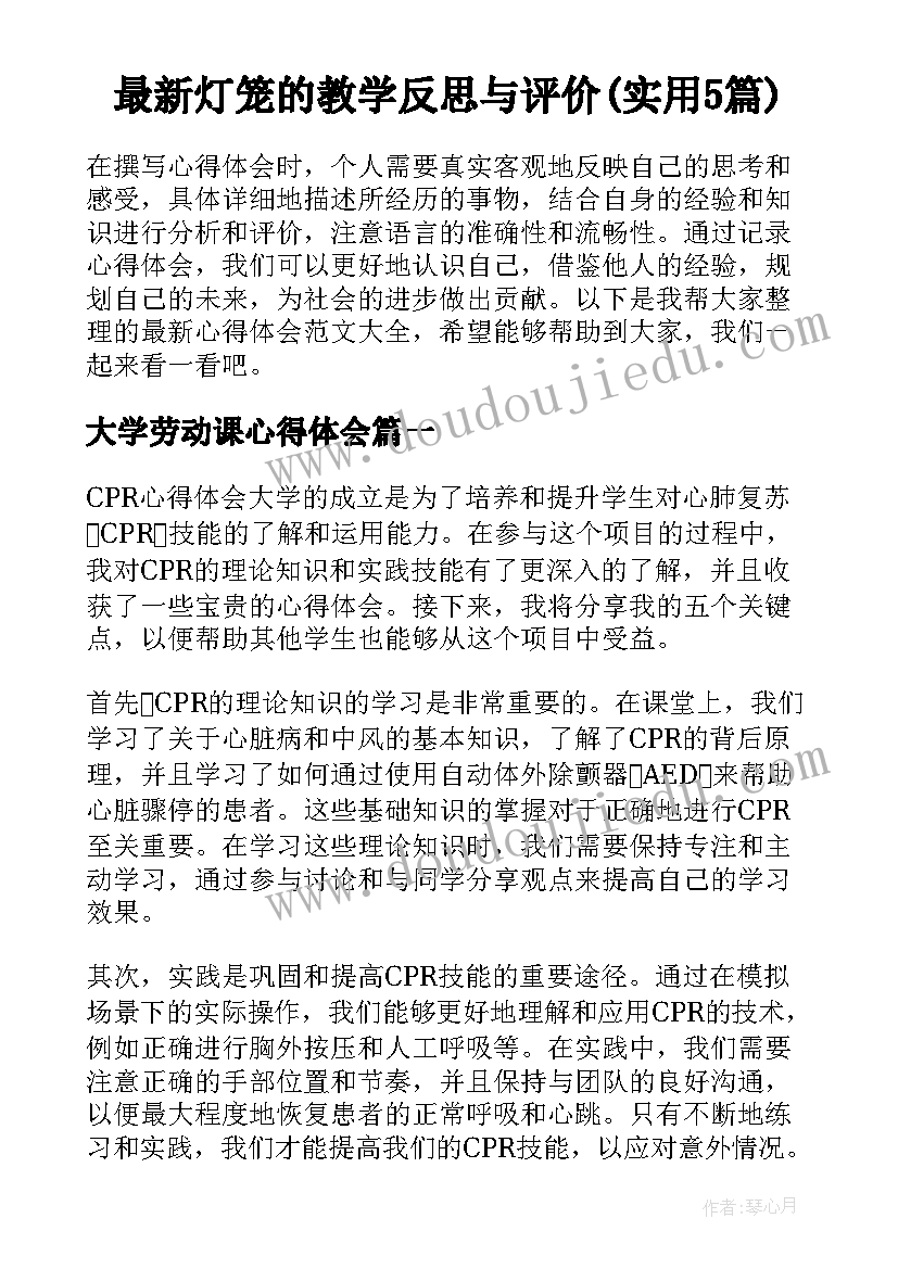 最新灯笼的教学反思与评价(实用5篇)