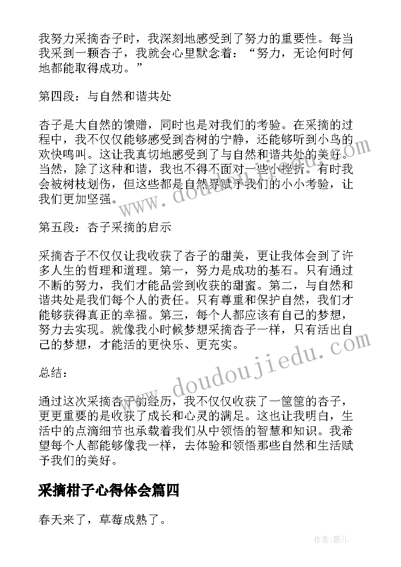 采摘柑子心得体会 采摘柿子心得体会(通用5篇)