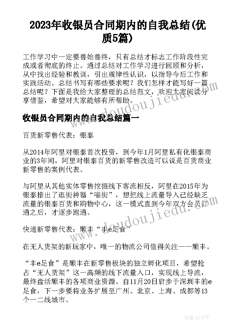 2023年收银员合同期内的自我总结(优质5篇)