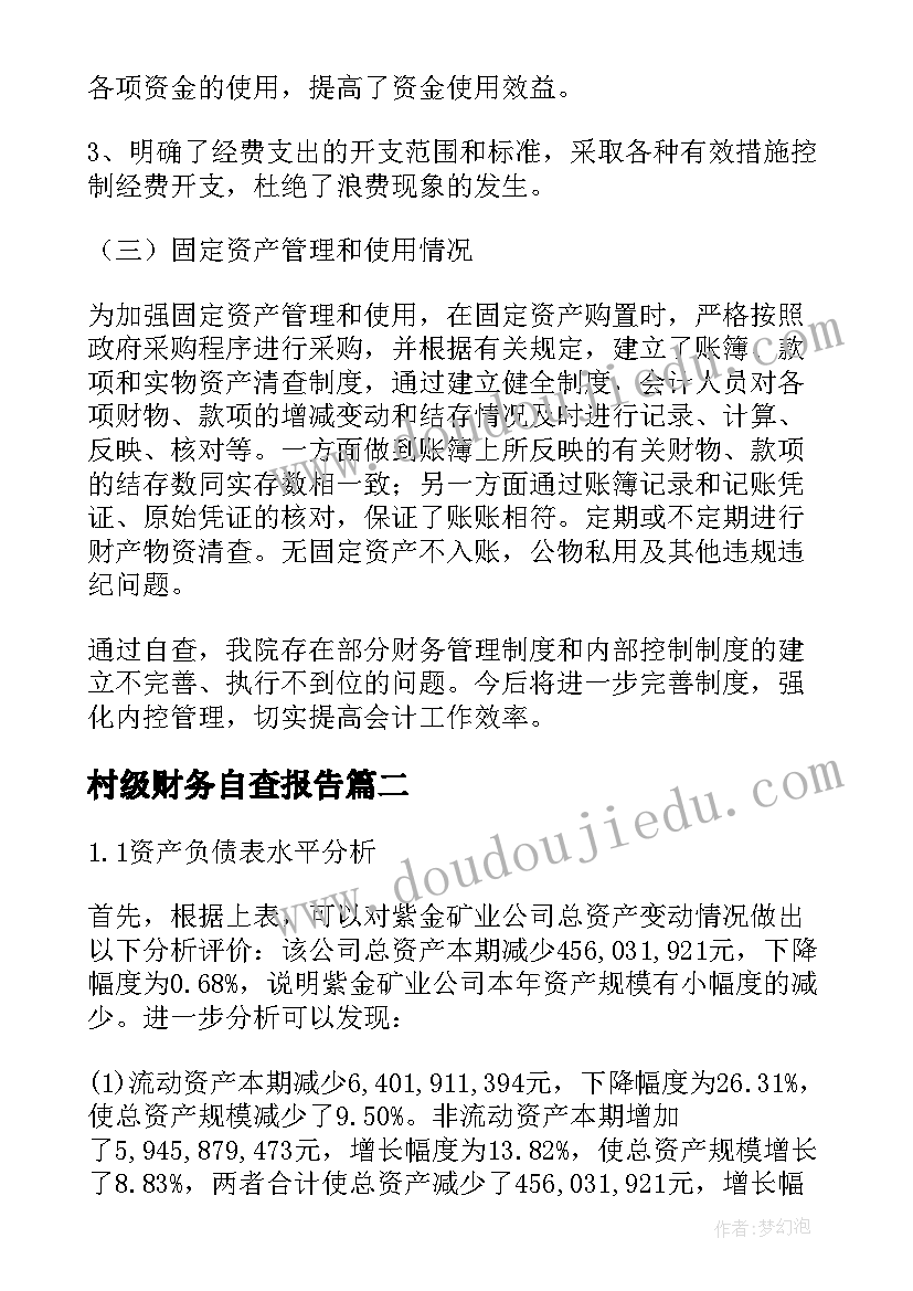 2023年村级财务自查报告(精选10篇)