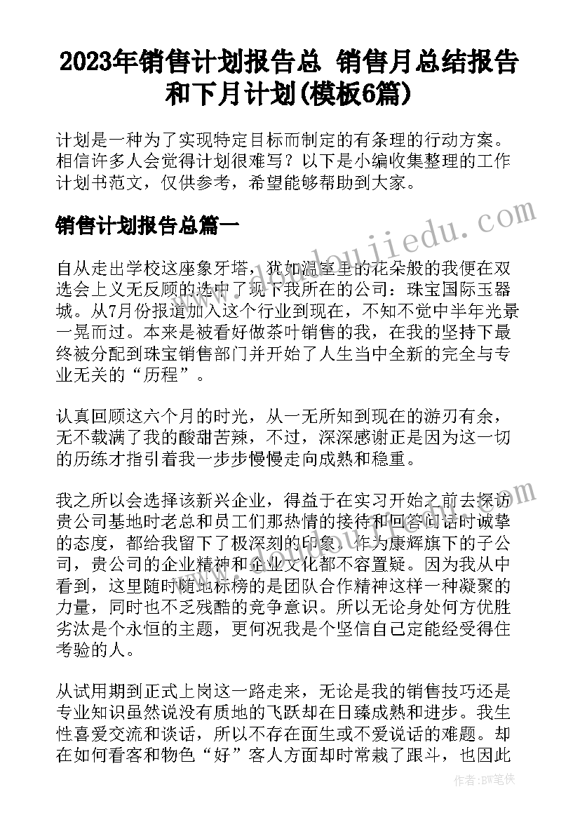 2023年销售计划报告总 销售月总结报告和下月计划(模板6篇)