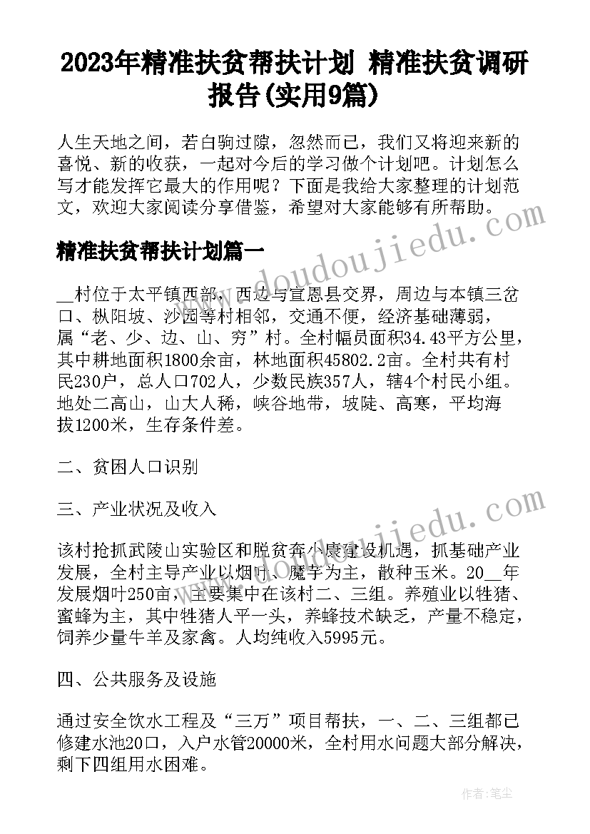 2023年精准扶贫帮扶计划 精准扶贫调研报告(实用9篇)