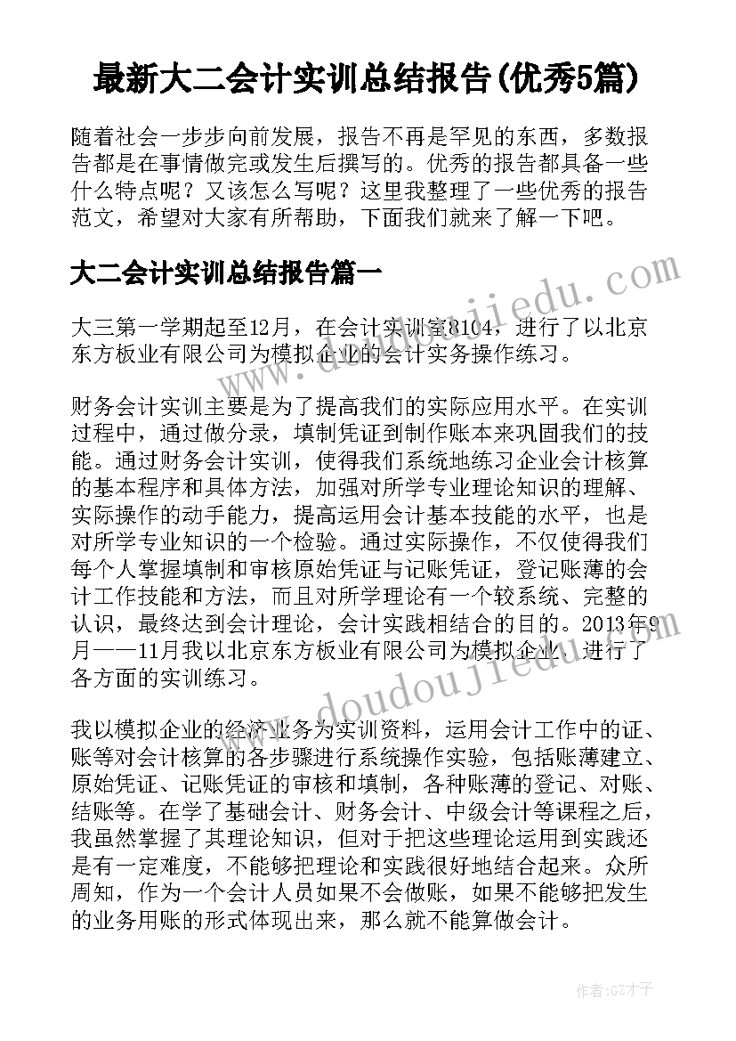 最新大二会计实训总结报告(优秀5篇)