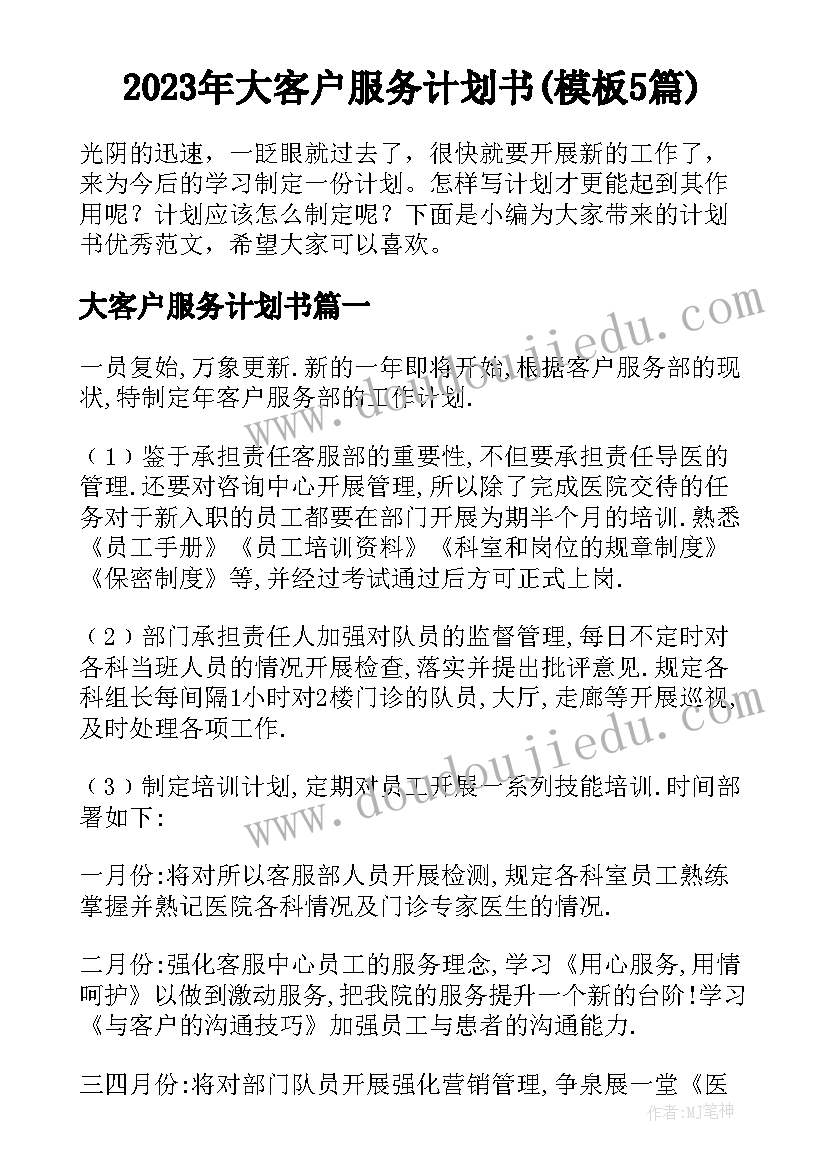 2023年大客户服务计划书(模板5篇)