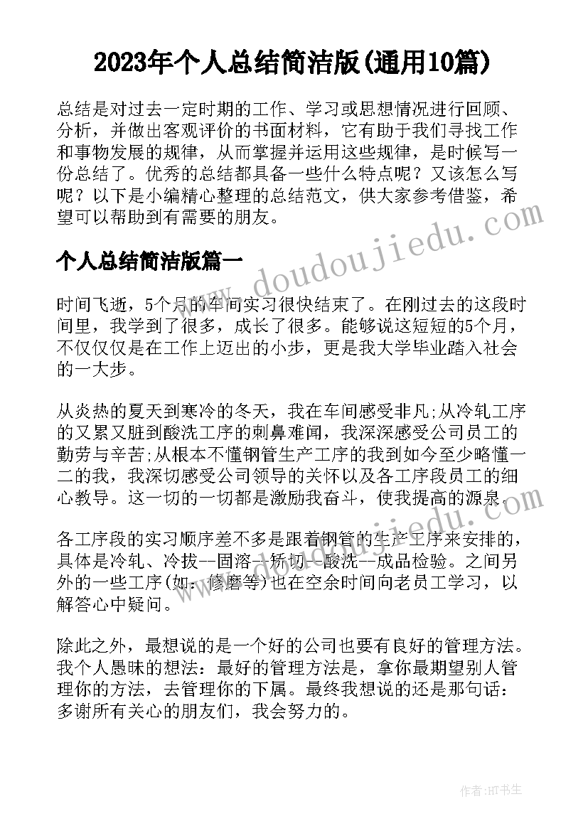 2023年个人总结简洁版(通用10篇)