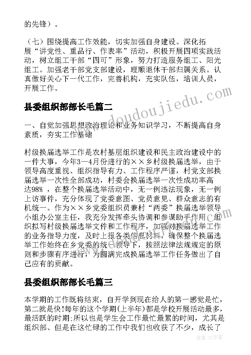 县委组织部部长毛 县委组织部长工作总结(实用5篇)