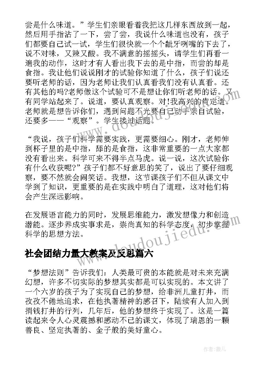 2023年社会团结力量大教案及反思(大全6篇)