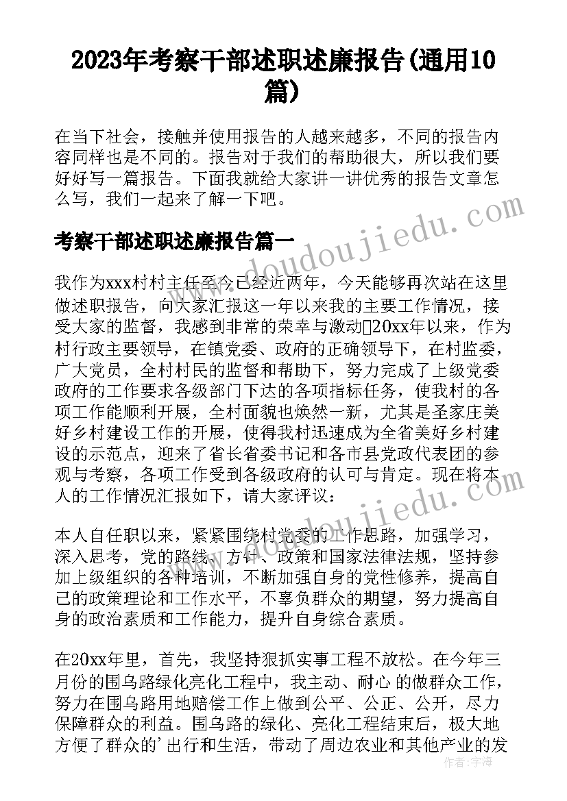 2023年考察干部述职述廉报告(通用10篇)