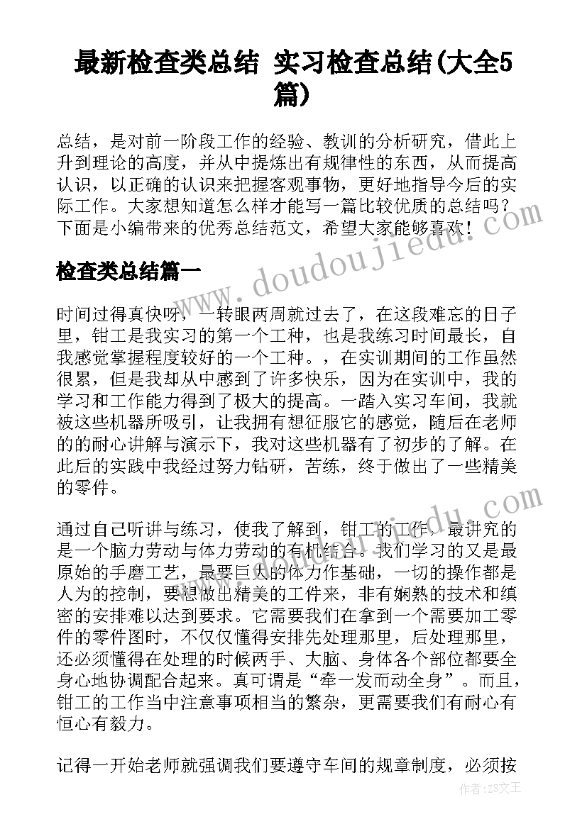 最新检查类总结 实习检查总结(大全5篇)