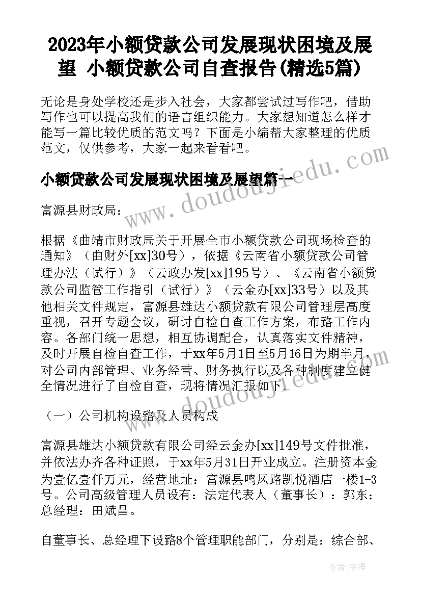 2023年小额贷款公司发展现状困境及展望 小额贷款公司自查报告(精选5篇)