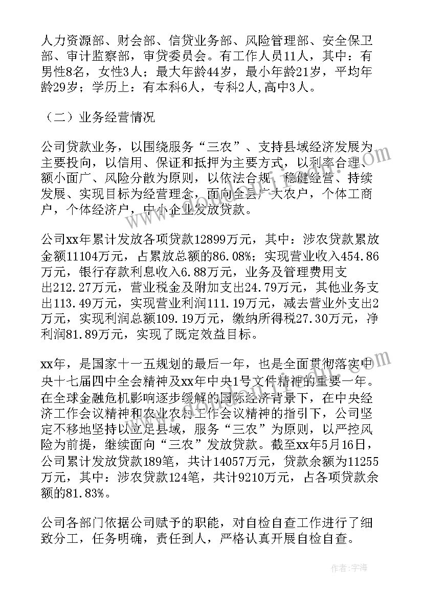 2023年小额贷款公司发展现状困境及展望 小额贷款公司自查报告(精选5篇)