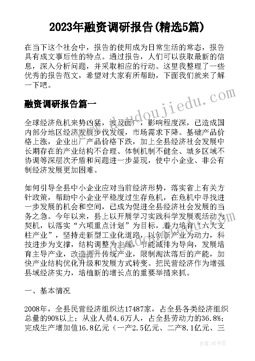 2023年融资调研报告(精选5篇)