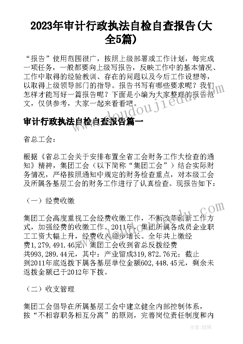 2023年审计行政执法自检自查报告(大全5篇)