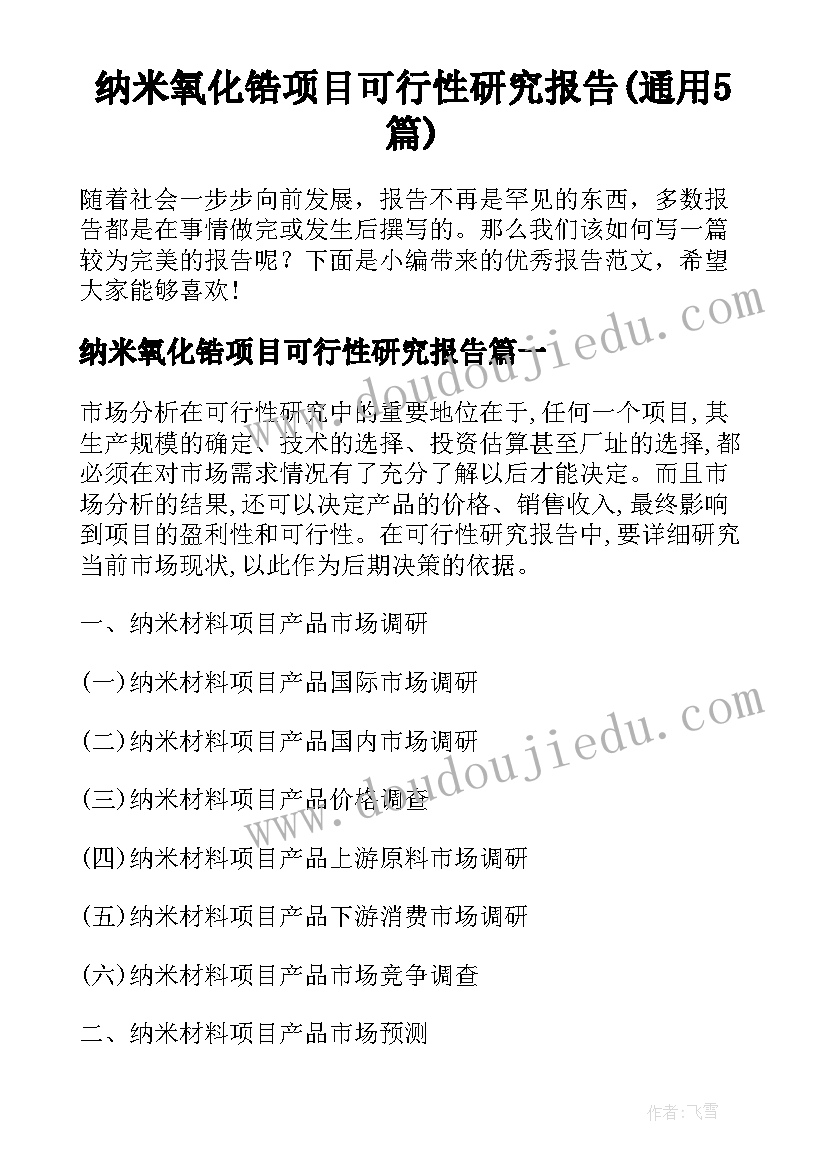 纳米氧化锆项目可行性研究报告(通用5篇)