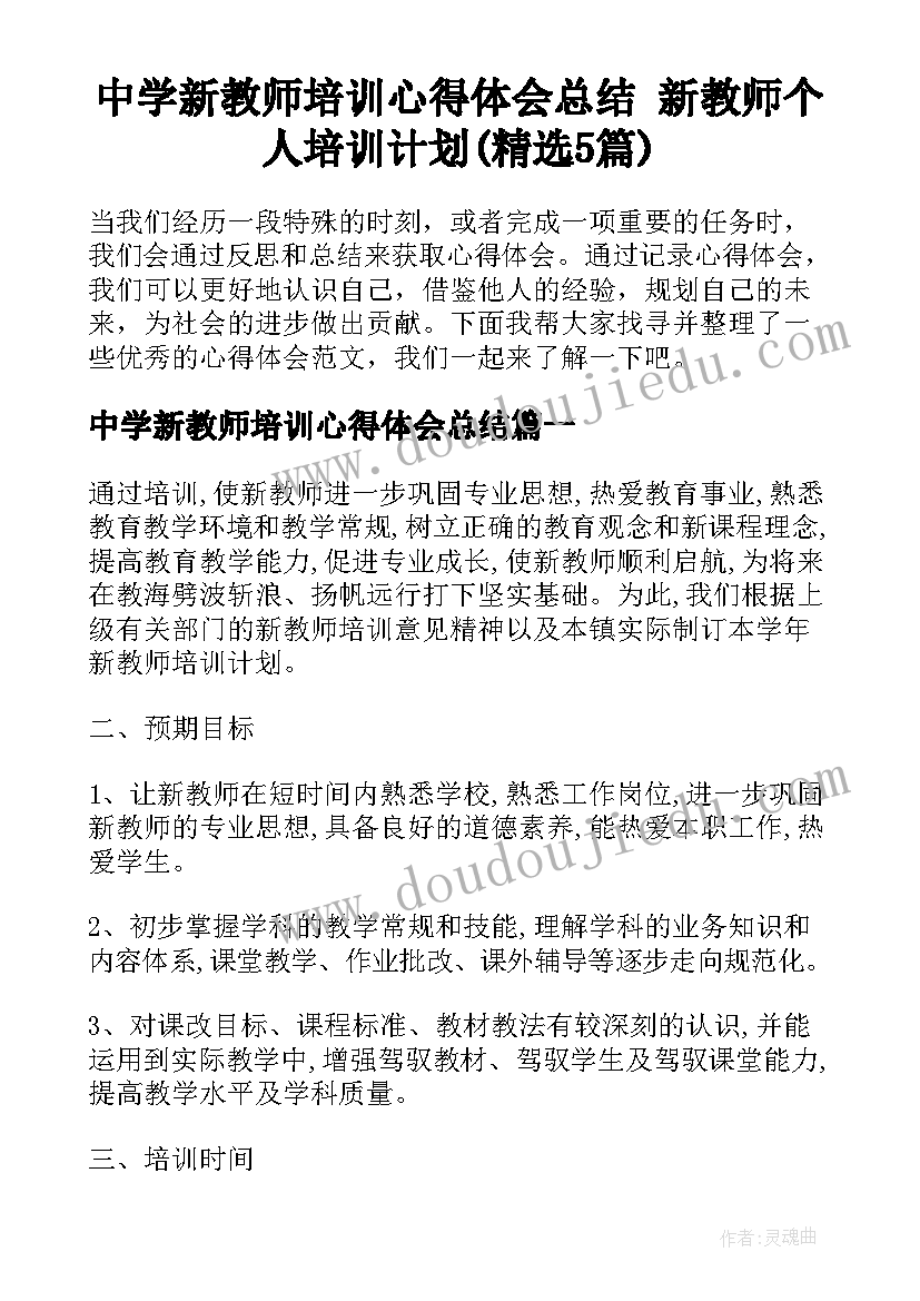 中学新教师培训心得体会总结 新教师个人培训计划(精选5篇)