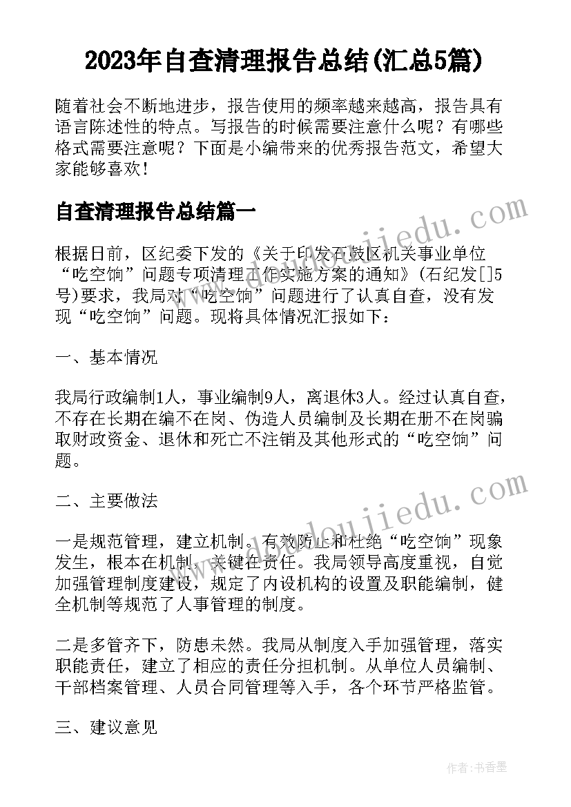 2023年自查清理报告总结(汇总5篇)