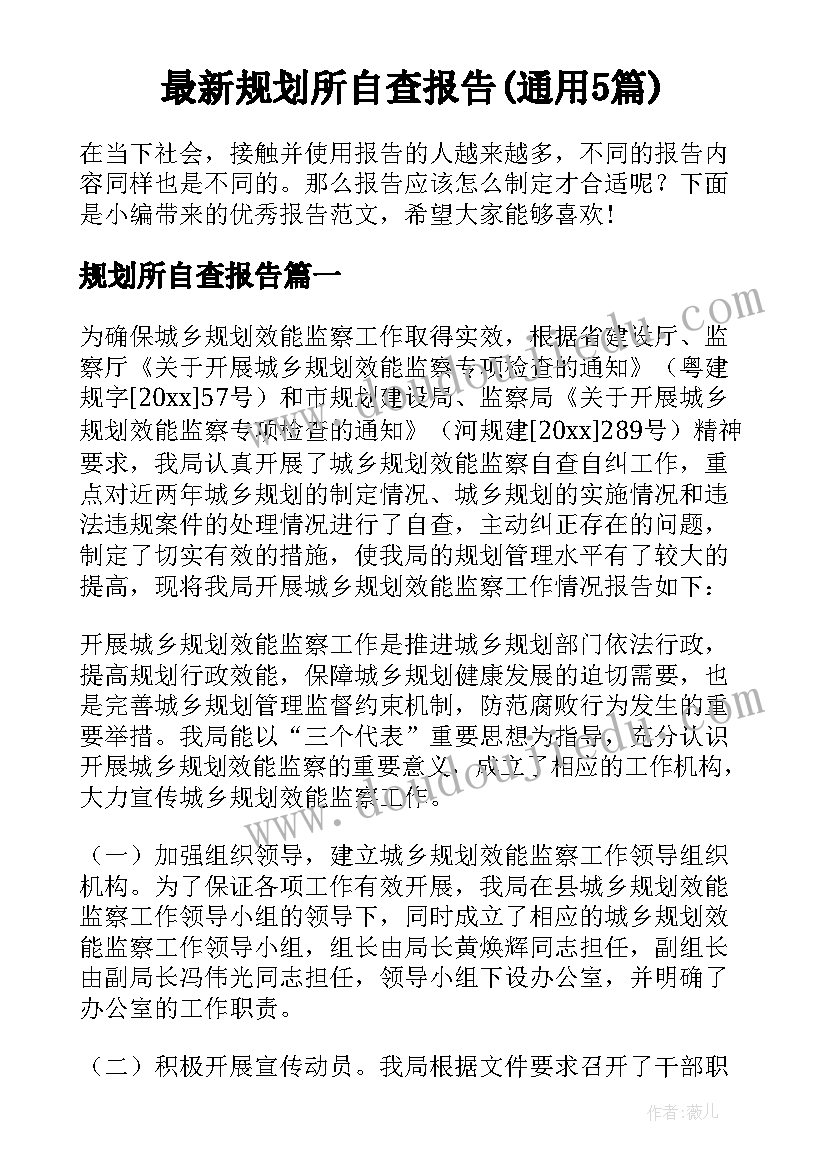 最新规划所自查报告(通用5篇)