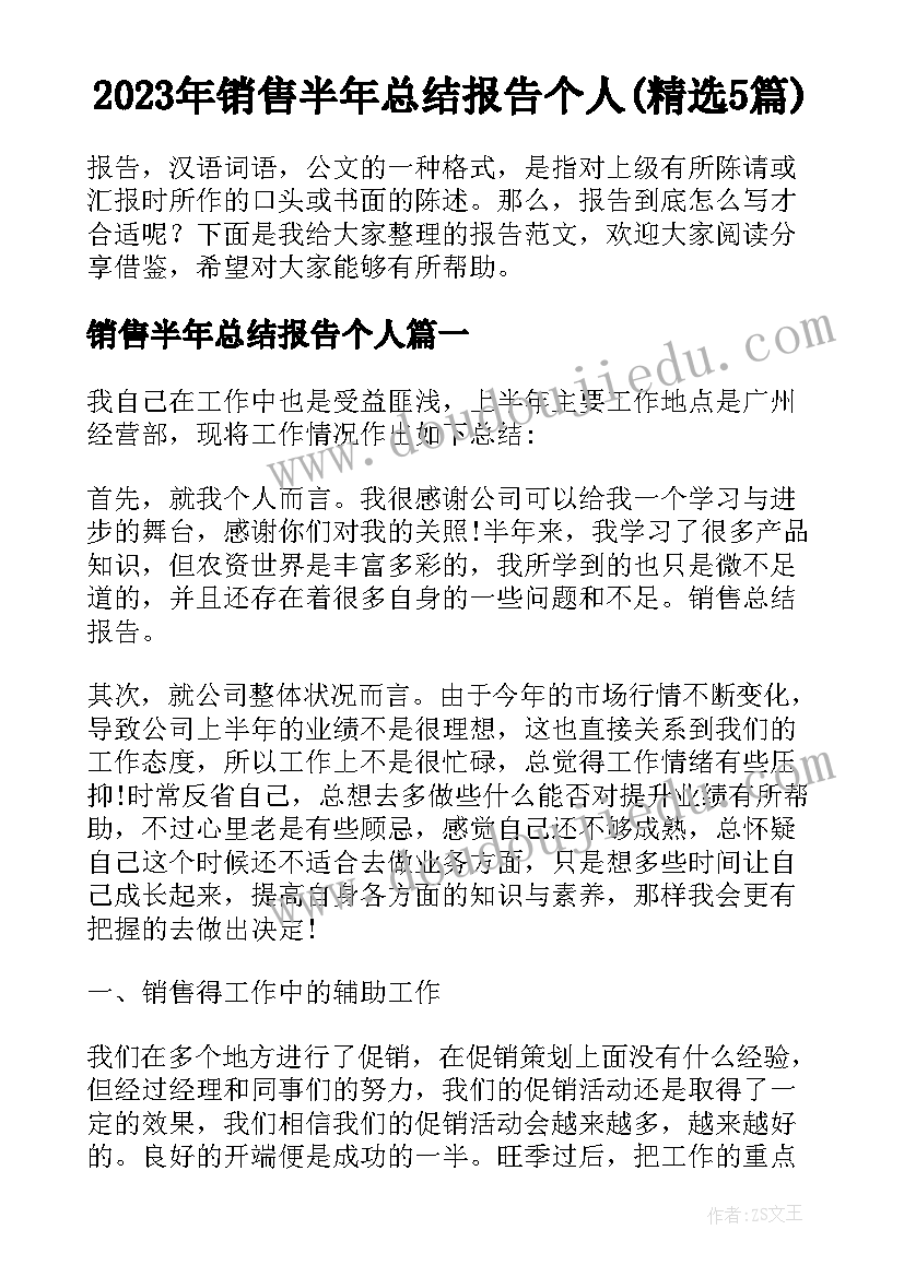 2023年销售半年总结报告个人(精选5篇)