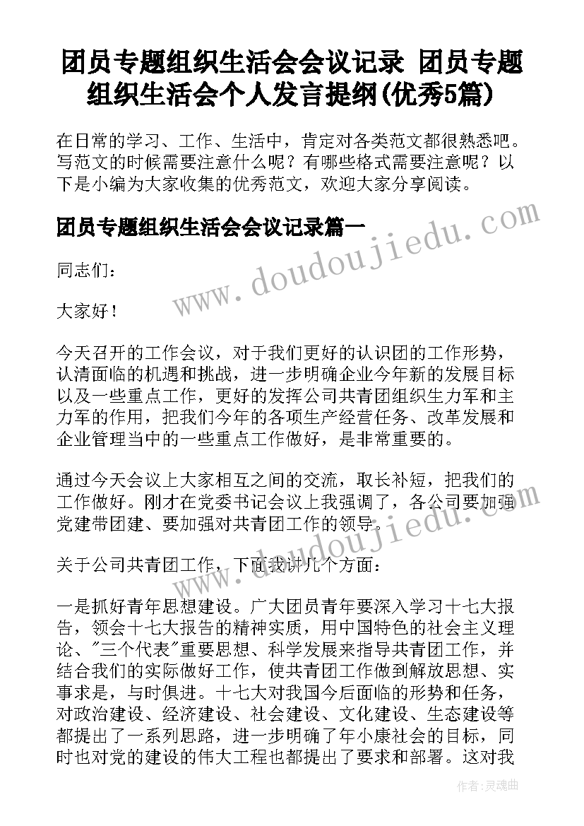 团员专题组织生活会会议记录 团员专题组织生活会个人发言提纲(优秀5篇)