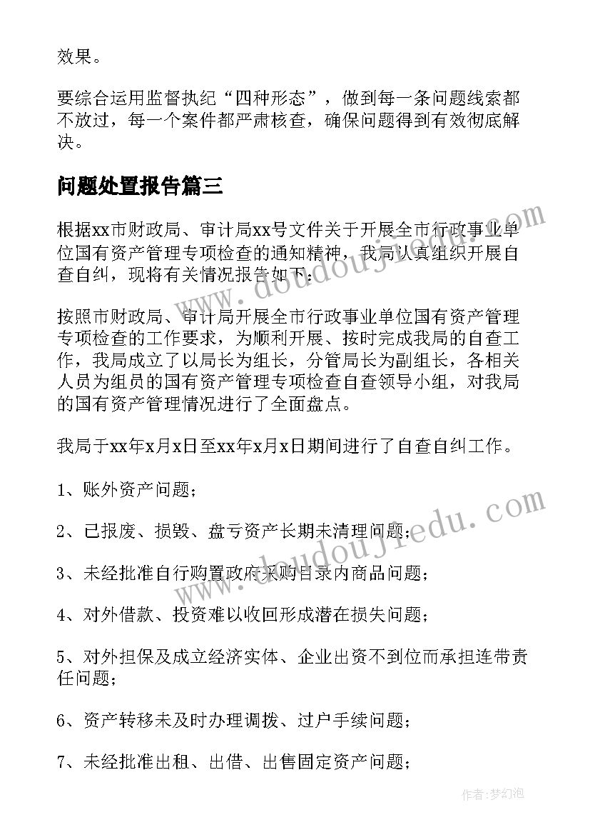 最新问题处置报告(实用5篇)