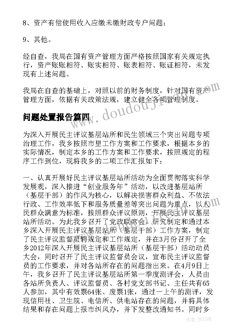 最新问题处置报告(实用5篇)