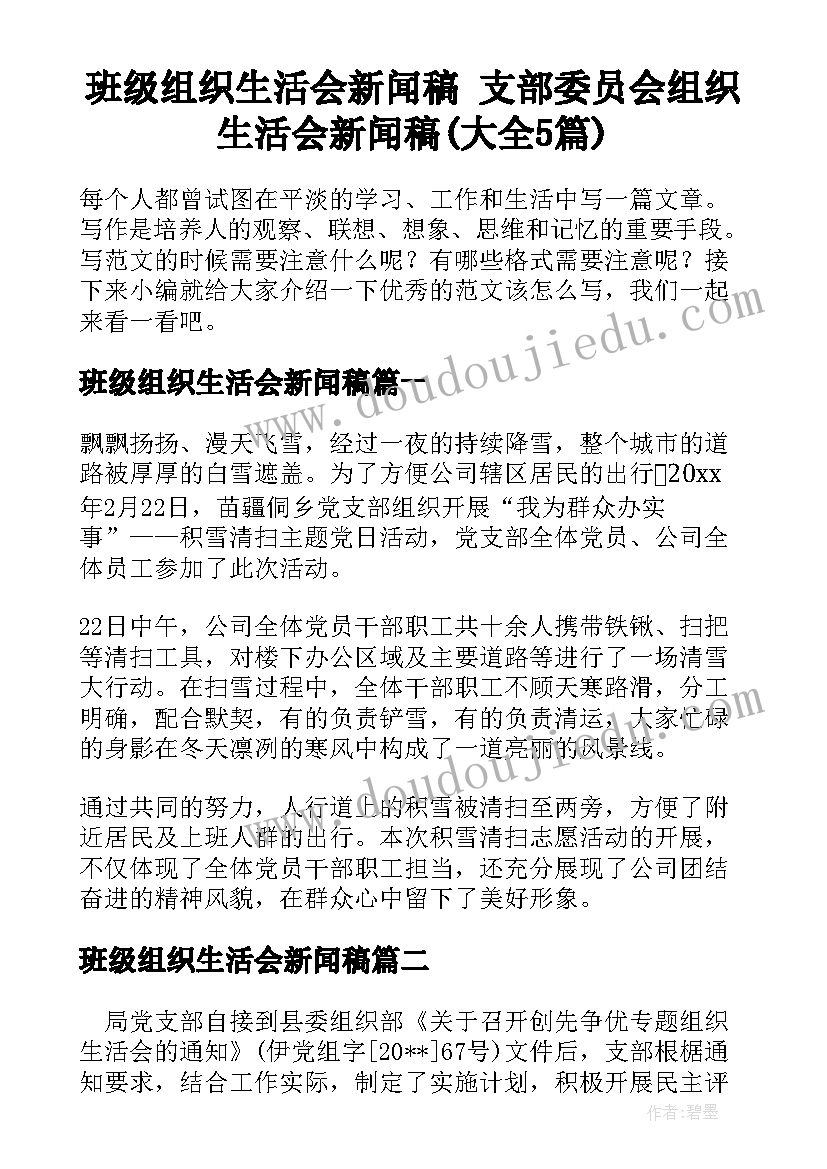 班级组织生活会新闻稿 支部委员会组织生活会新闻稿(大全5篇)